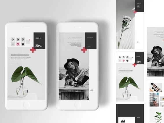 84316050-0af0-49db-a53a-241d47ddad0e-2-567x425